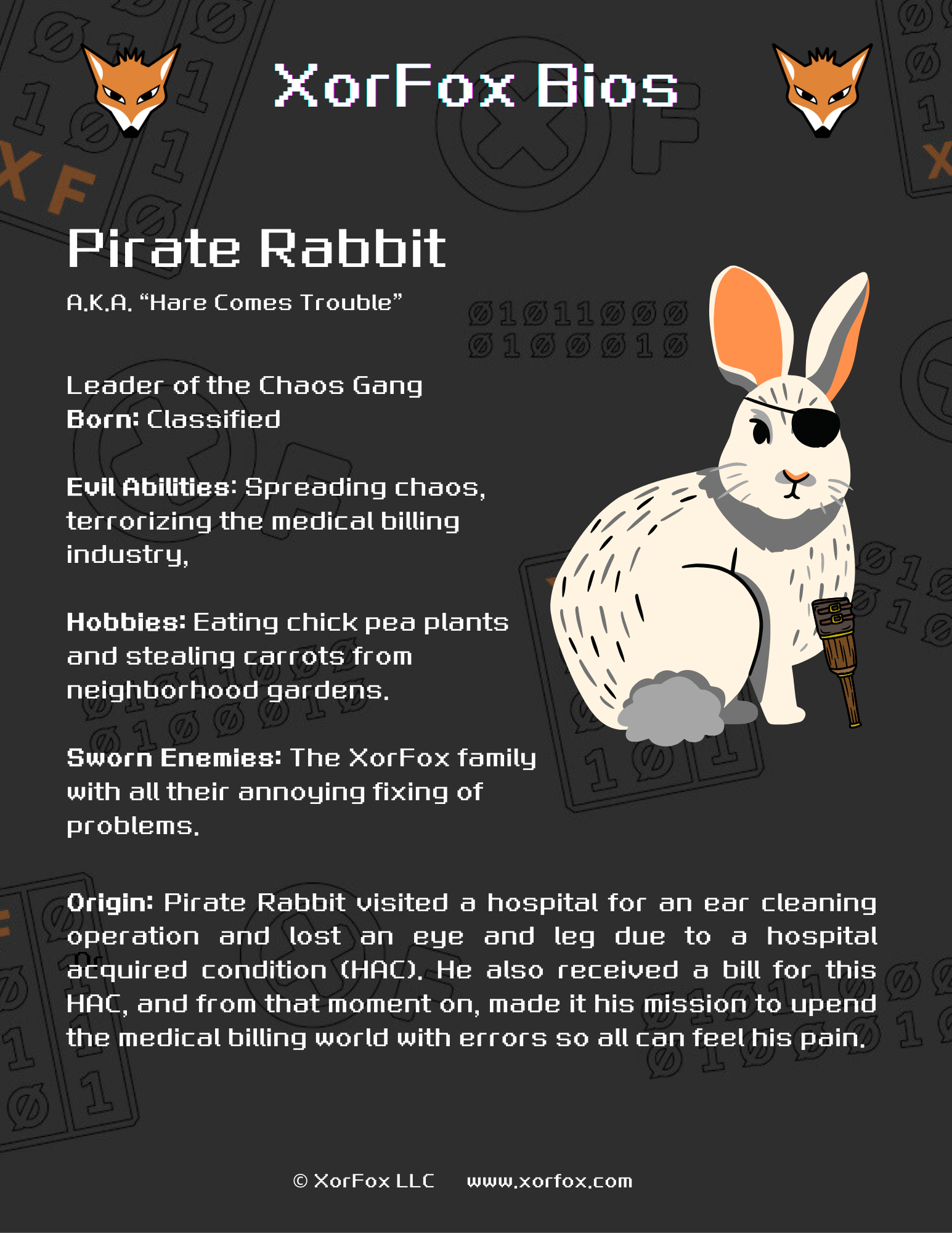 pirate rabbit bio